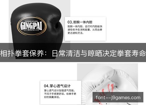 相扑拳套保养：日常清洁与晾晒决定拳套寿命